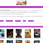 FilmyFly